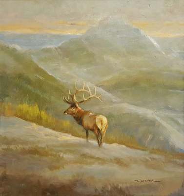 Tom Sander Majestic Elk 11x12 Oil on Board