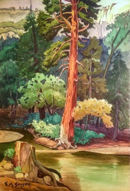 Fred M Sersen Redwood in Landscape 22x15 Watercolor