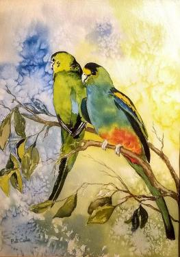 Patricia Cole Parakeets 16x12 watercolor