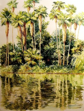 Joseph Holbrook Palm Grove 25x19 Acrylic on Paper