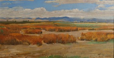 Ian McKibben White, Dry Marsh Grizzly Island California, 7x13 Oil on Board