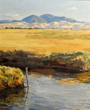 Ian McKibben White, Mount Diablo Grizzly Island, 13x11 Oil on Board