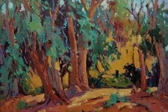 Kanya-Bugreyev-Eucalyptus-Grove-24x30-oil-on-canvas-795