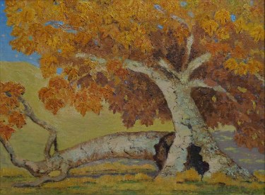 Californian Artist Painting of a Fallen Sycamore