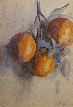 A. Welker Three Oranges 16x12 Watercolor