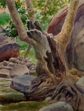 Ben Carre Tree in Taquitz Canyon 12x9 Watercolor