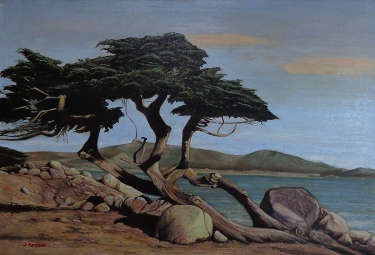 James Kermode Monterey Coastal Pine 26x38 Oil on Canvas