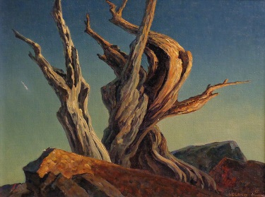 Leland S. Curtis Bristlecone Pine 12x16 Oil on Canvas Board