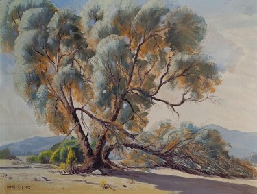 Naomi-Evans-1900-1969-Desert-Colors-Smoke-Tree-18x24-oil-on-canvas.-495