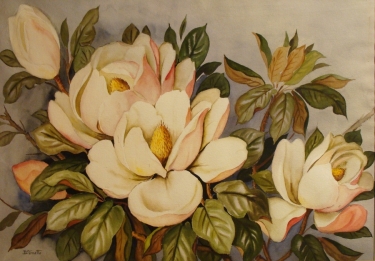 Barbara Vinette Magnolia Blossoms 22x30 Watercolor