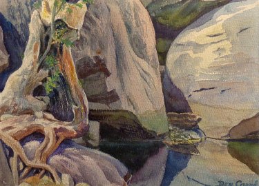 Ben Carre Twisted Trunk Tahquitz Canyon Palm Springs 10x15 Watercolor