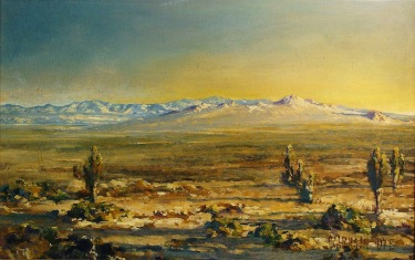 Clarkson Dye Afternoon Light Mojave 14x22 Oil Painting