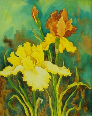 Irises by Pat Cole - Watercolor 24x18