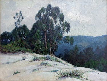 Francis Stillwell Dixon Eucalyptus near Carmel 20x26 Oil on Canvas