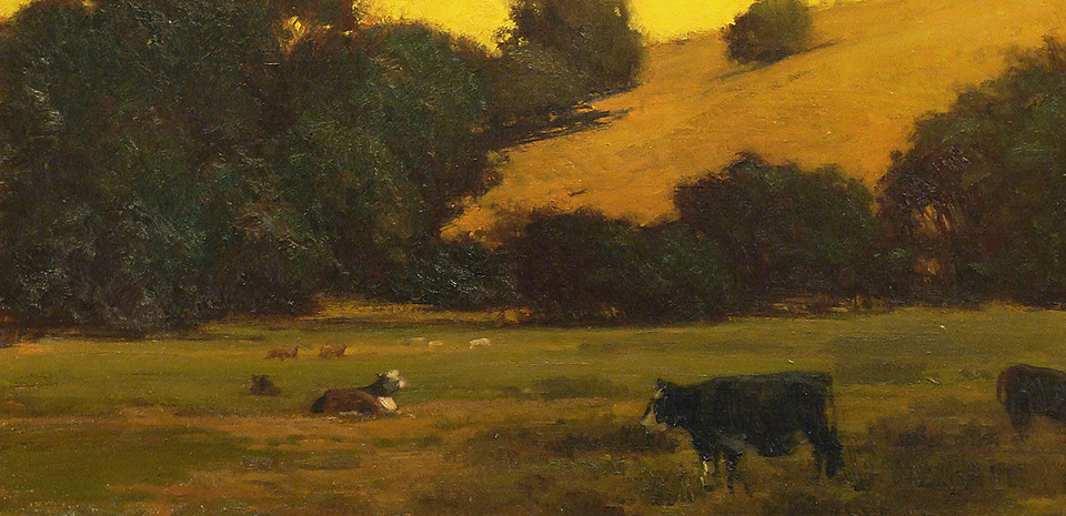 Brian Blood Cattle amidst the Oaks