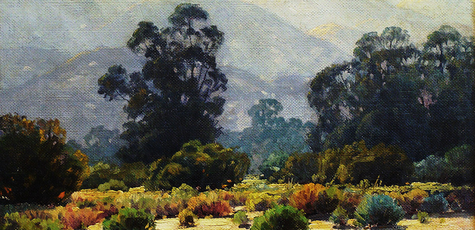 Paul Grimm Eucalyptus Trees near Tujunga